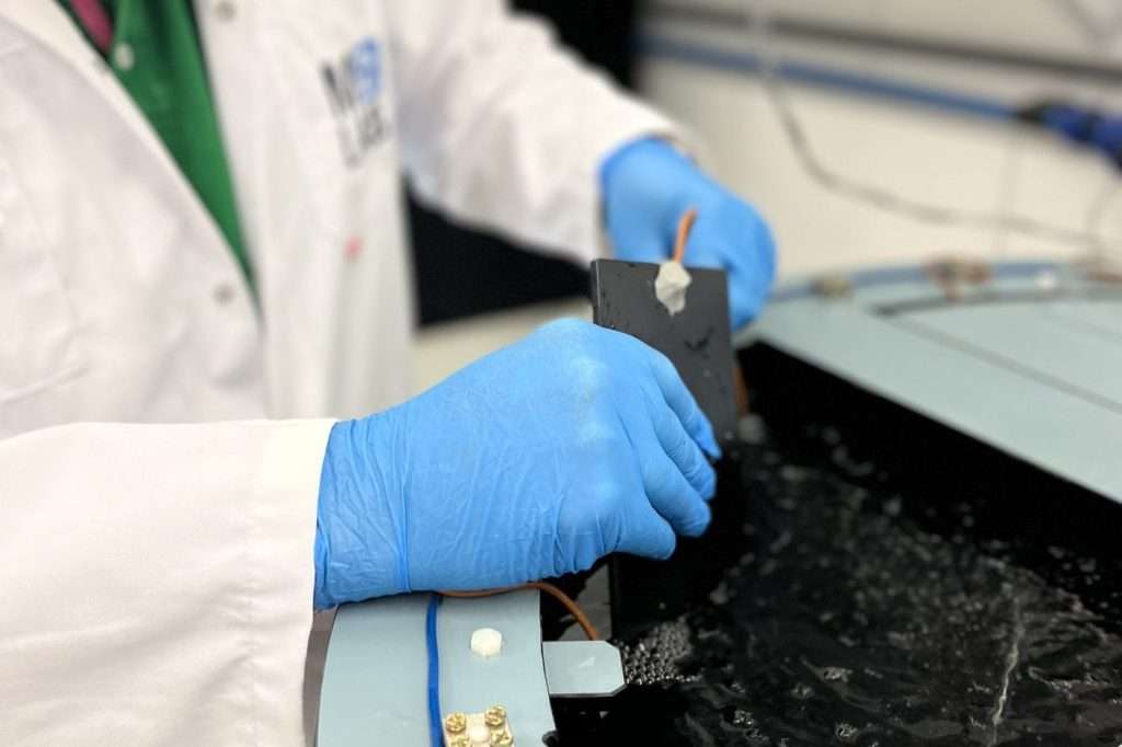 Laborant mit blauen Handschuhen setzt ein beschichtetes Prüfblech in einen Tank mit künstlichem Meerwasser ein